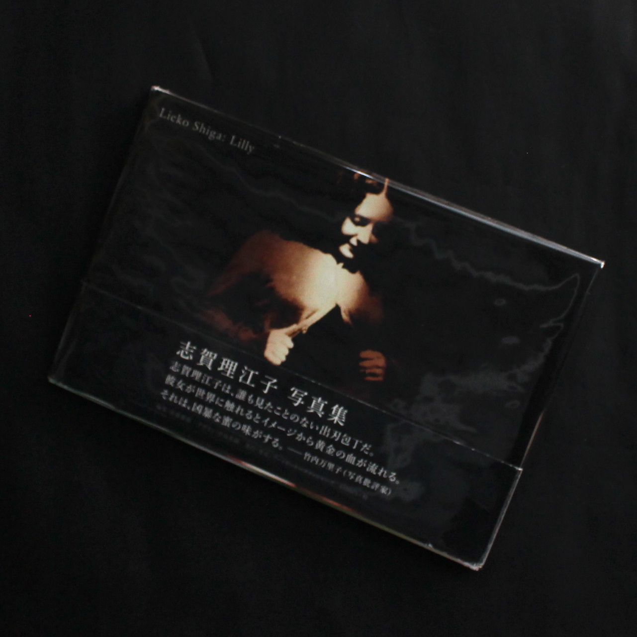 Lilly（Missing Leaflet） - 志賀 理江子 / Lieko Shiga