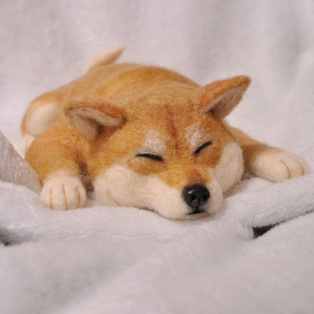 羊毛フェルト♡おねんねする柴犬 羊毛フェルト♡おねんねする柴犬