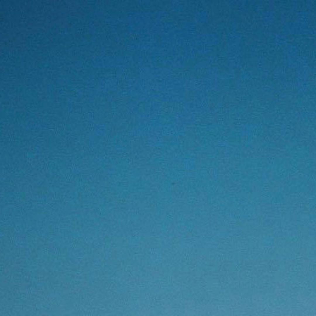 rimi　ホワイトS スケッチャーズ スリップインズ：ドリーミー ライツ - ミス