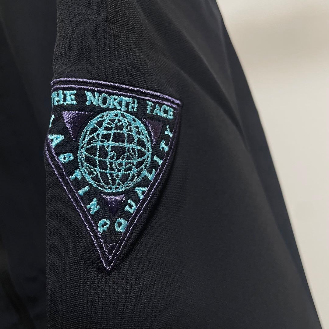 ノースフェイスマウンテン限定 Lasting Quality V3 Jacket - メルカリ