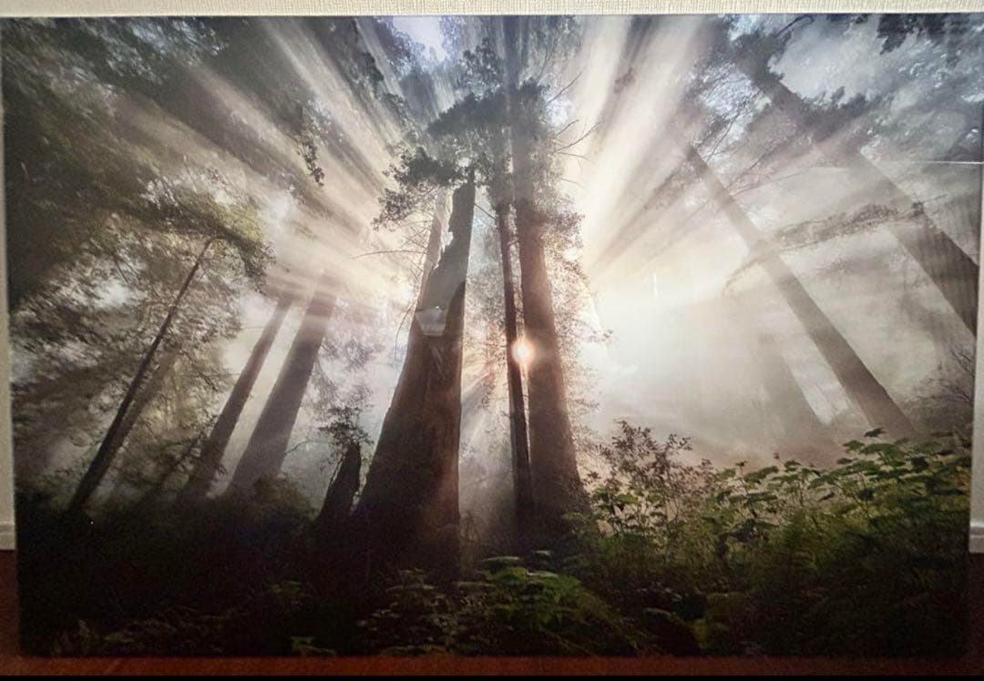 きーちゃん　YELLOWKORNER フォトアート sunset-over-toronto.jpg